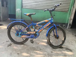 Phoenix Cycle