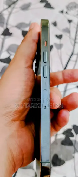অ্যাপল আইফোন ১৩ প্রো ২৫৬ জিবি গ্রে