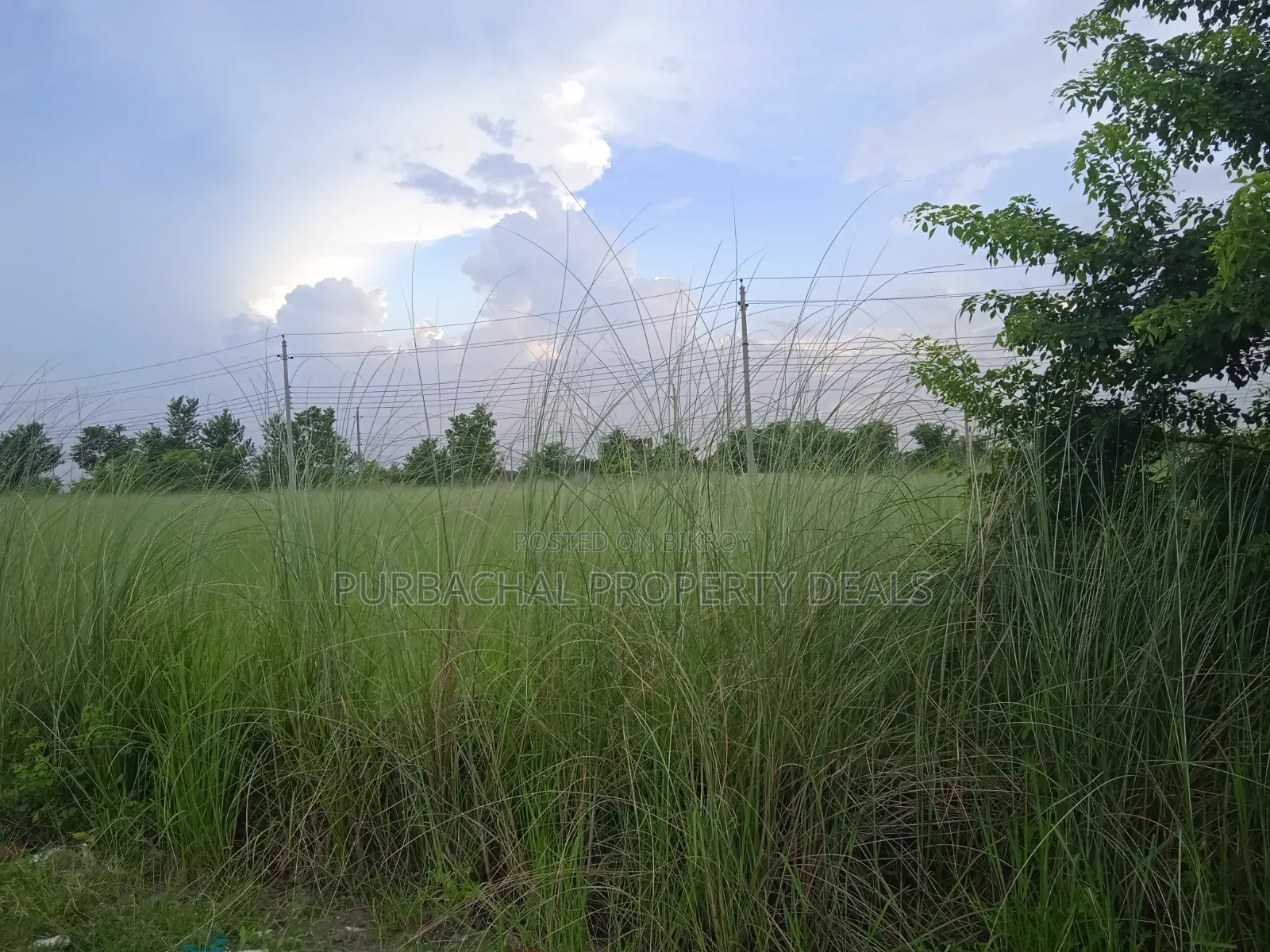 বসুন্ধরা P-Ext ব্লকে ৩ কাঠার প্লট বিক্রয়