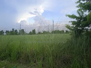 বসুন্ধরা P-Ext ব্লকে ৩ কাঠার প্লট বিক্রয়