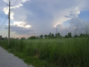 বসুন্ধরা P-Ext ব্লকে ৩ কাঠার প্লট বিক্রয়