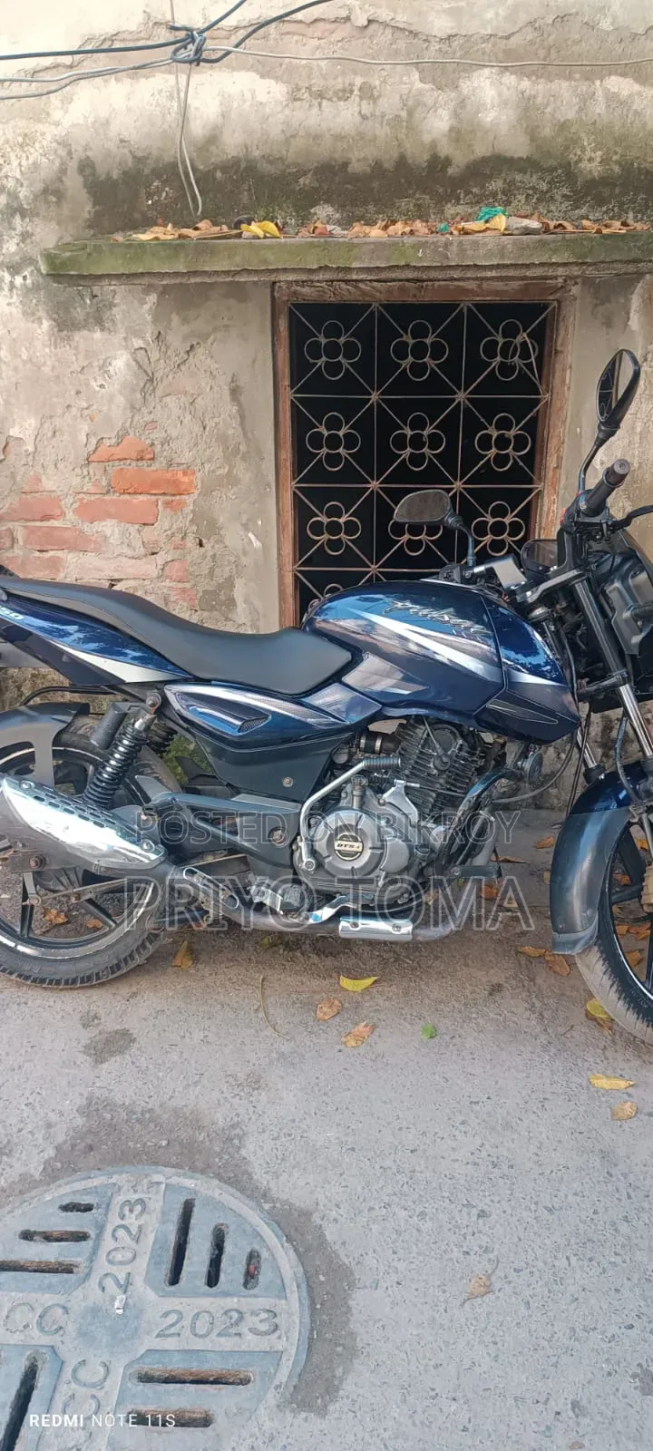 বাজাজ পালসার ১৫০ ২০১৭ পার্পল