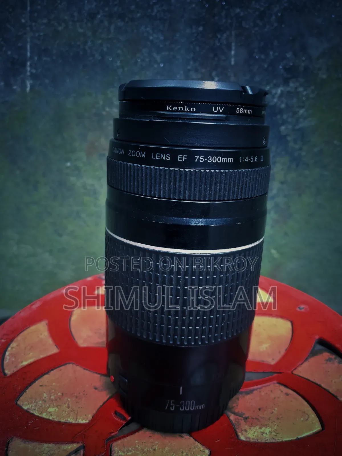 Canon 75-300 Zoom Lens