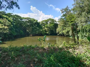 Filled land with pond for rent.