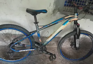 ফিনিক্স কাস্টম মাউন্টেন বাইসাইকেল