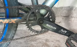 ফিনিক্স কাস্টম মাউন্টেন বাইসাইকেল