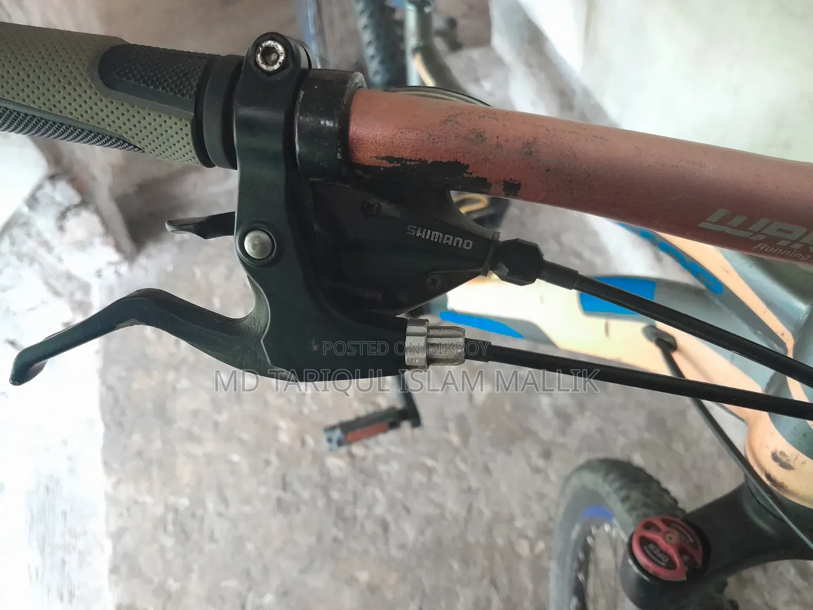 ফিনিক্স কাস্টম মাউন্টেন বাইসাইকেল