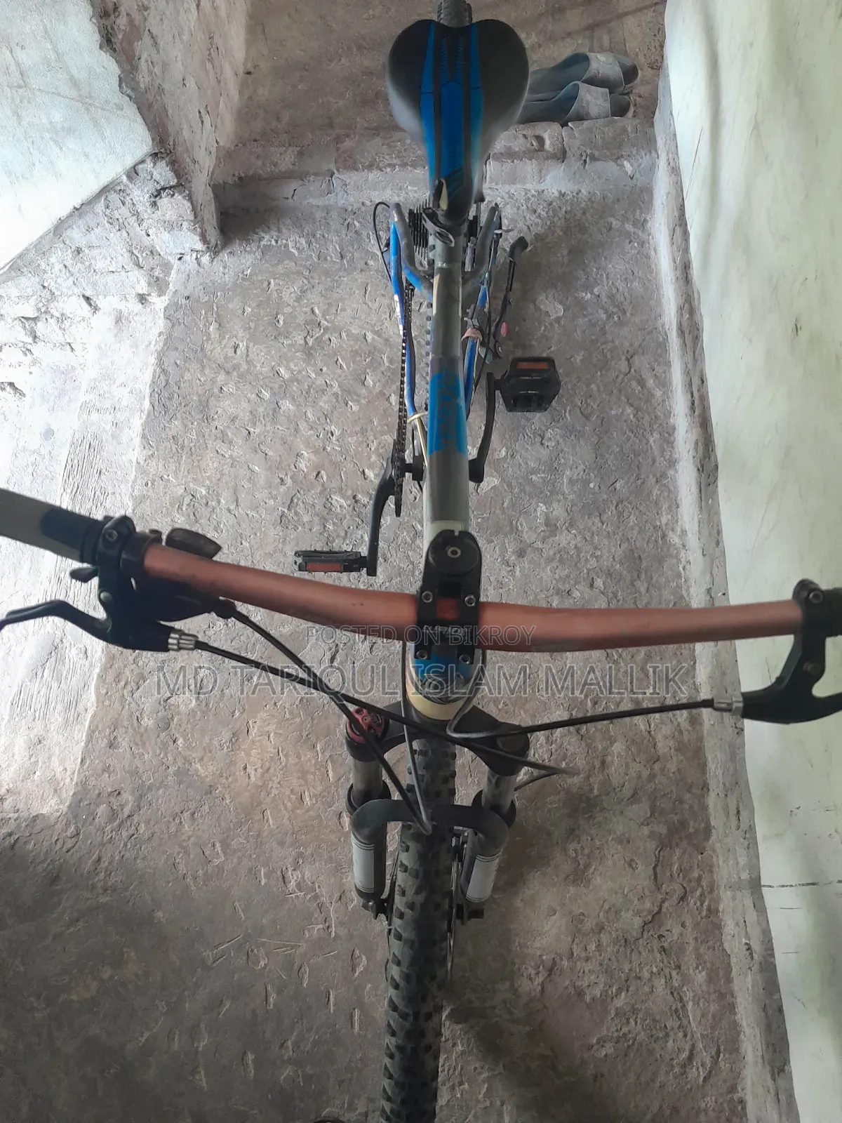 ফিনিক্স কাস্টম মাউন্টেন বাইসাইকেল
