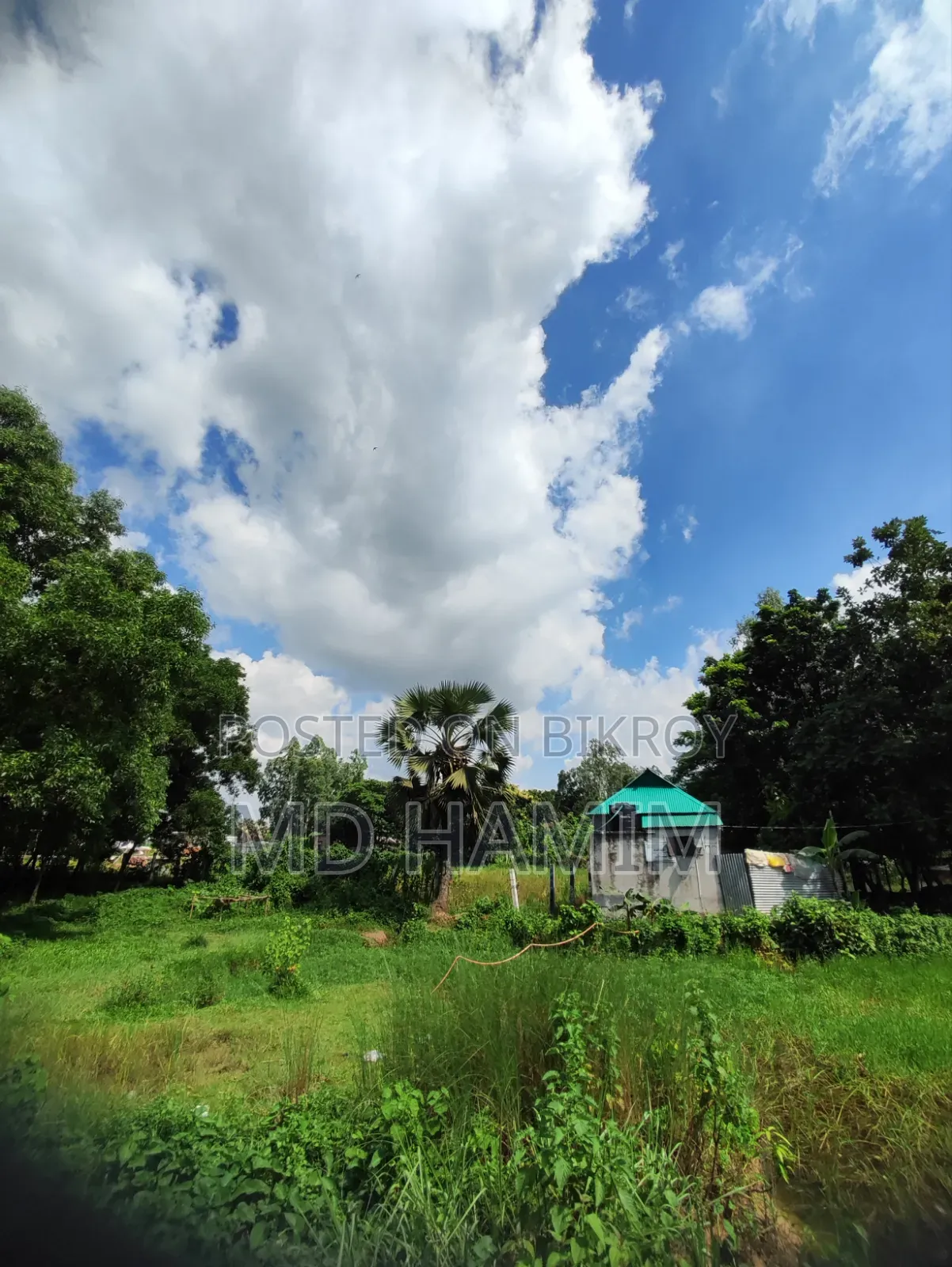 গুগল পিক্সেল ৬ ১২৮ জিবি ব্ল্যাক