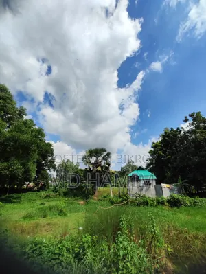 গুগল পিক্সেল ৬ ১২৮ জিবি ব্ল্যাক