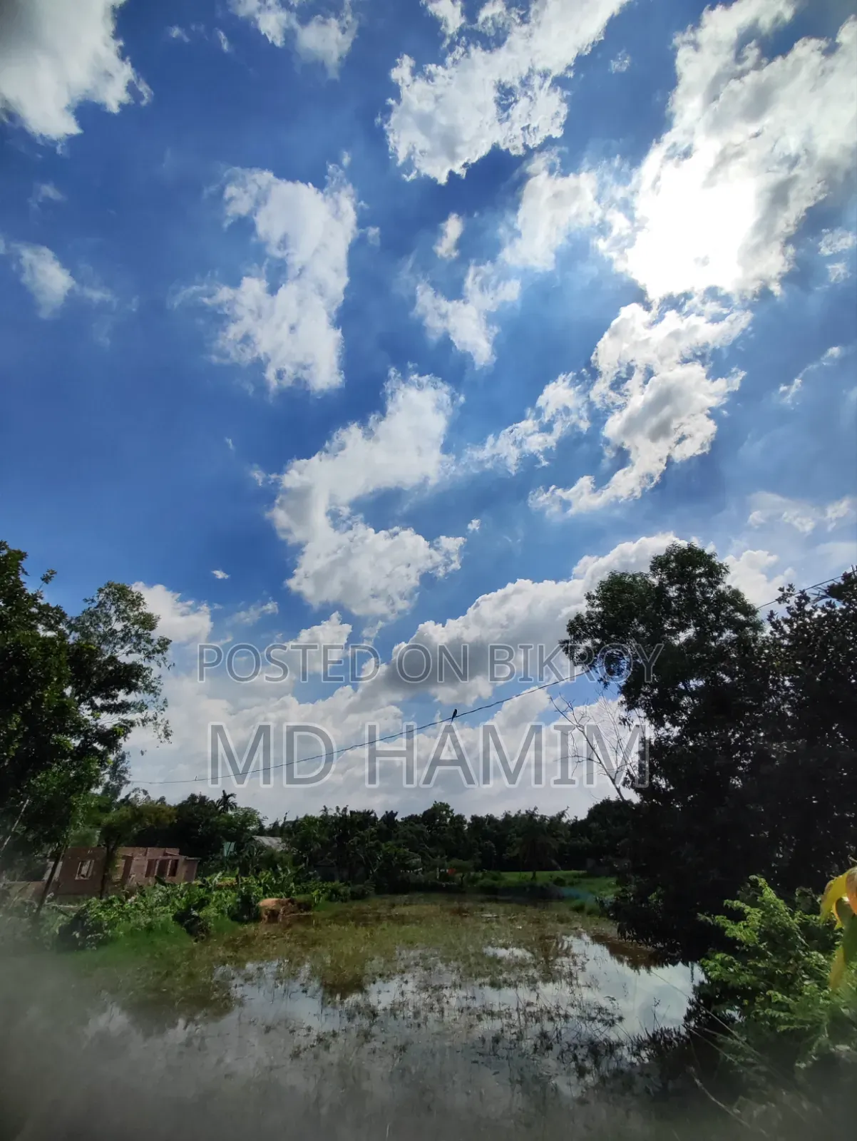 গুগল পিক্সেল ৬ ১২৮ জিবি ব্ল্যাক