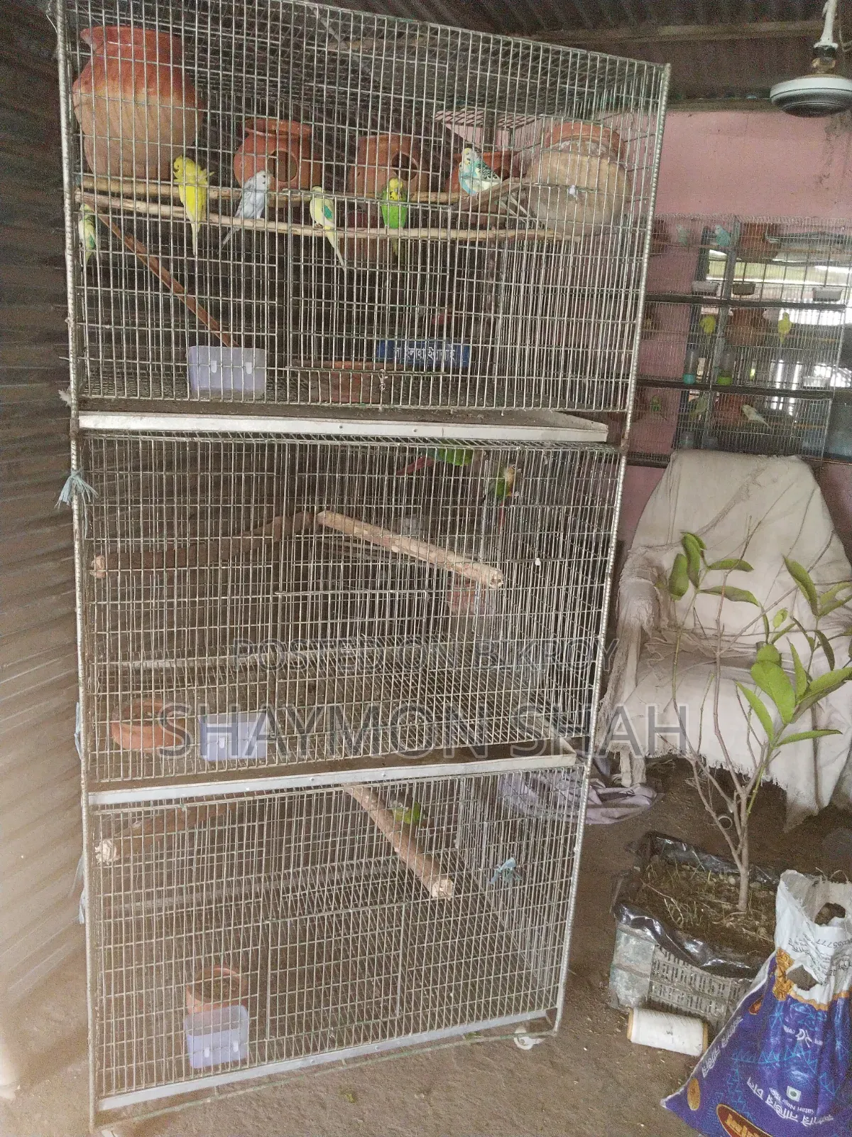 মোরগ তারের বড় খাঁচা বিক্রি করা হবে