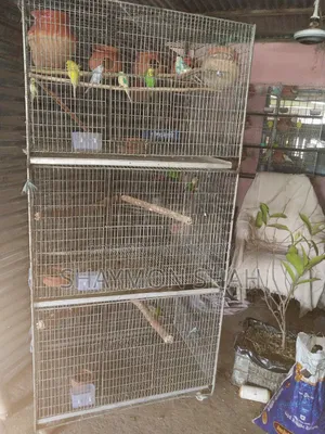 মোরগ তারের বড় খাঁচা বিক্রি করা হবে