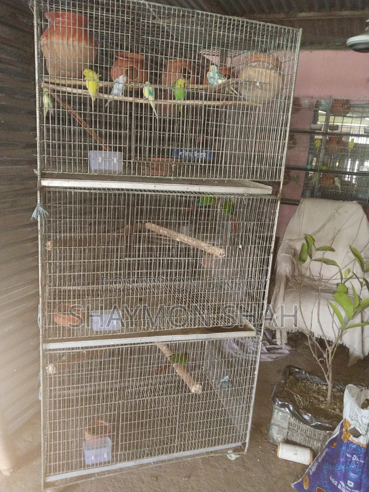 মোরগ তারের বড় খাঁচা বিক্রি করা হবে
