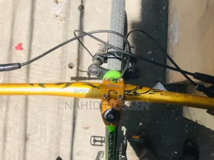4x Stand Cycle