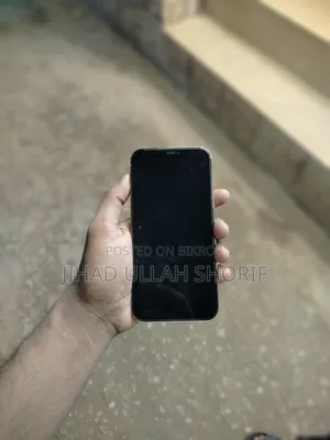 অ্যাপল আইফোন ১২ প্রো ম্যাক্স ১২৮ জিবি রোজ গোল্ড
