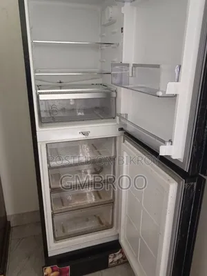 Singer Fridge