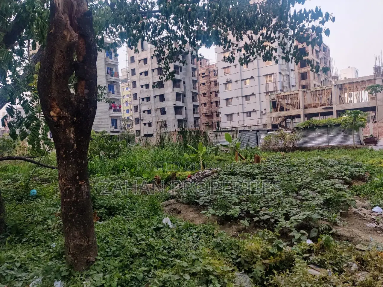 Front Road 50 Ft I Block 20 Katha Plot Sell