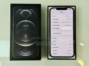 Apple iPhone 12 Pro Max 256 GB