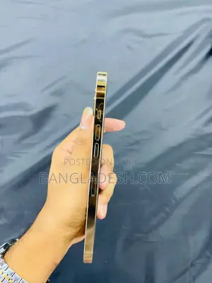 অ্যাপল আইফোন ১২ প্রো ম্যাক্স ১২৮ জিবি গোল্ড