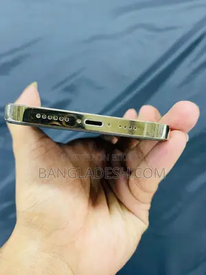 অ্যাপল আইফোন ১২ প্রো ম্যাক্স ১২৮ জিবি গোল্ড