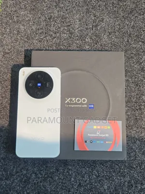 Vivo X300 256 GB