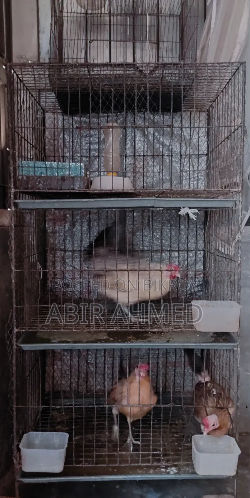 ৩ তাকের মোটা সিকের খাঁচা+মিডিয়াম সিঙ্গেল ১টি খাঁচা