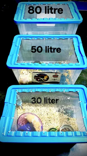 Hamster Setup