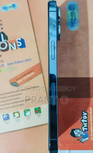 অ্যাপল আইফোন ১৩ প্রো ২৫৬ জিবি গ্রে
