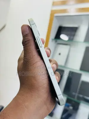 Apple iPhone 12 128 GB Gray
