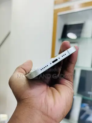 Apple iPhone 12 128 GB Gray