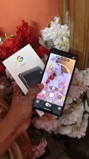 Google Pixel 6 256 GB Gray