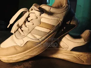 Used Fashion Sneakers / Running Shoes – Size (41)