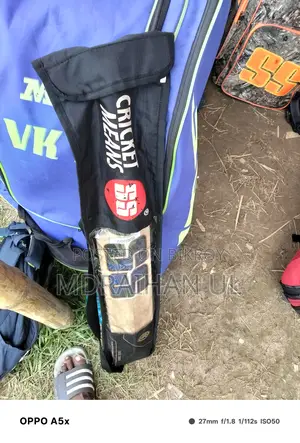 Kashmir Willow Bat