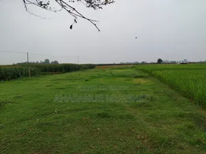 Land for sale in Akua Morolpara