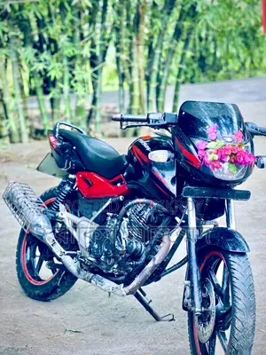 Bajaj Pulsar 150 2009 Black