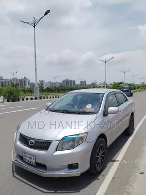 Toyota Axio 2010 Silver