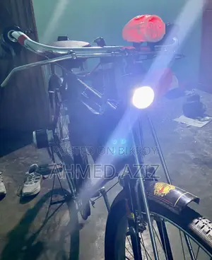 Classic Electric Cycle