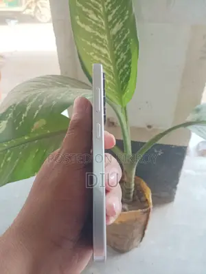 স্যামসাং গ্যালাক্সি এস২৪ ২৫৬ জিবি গ্রে