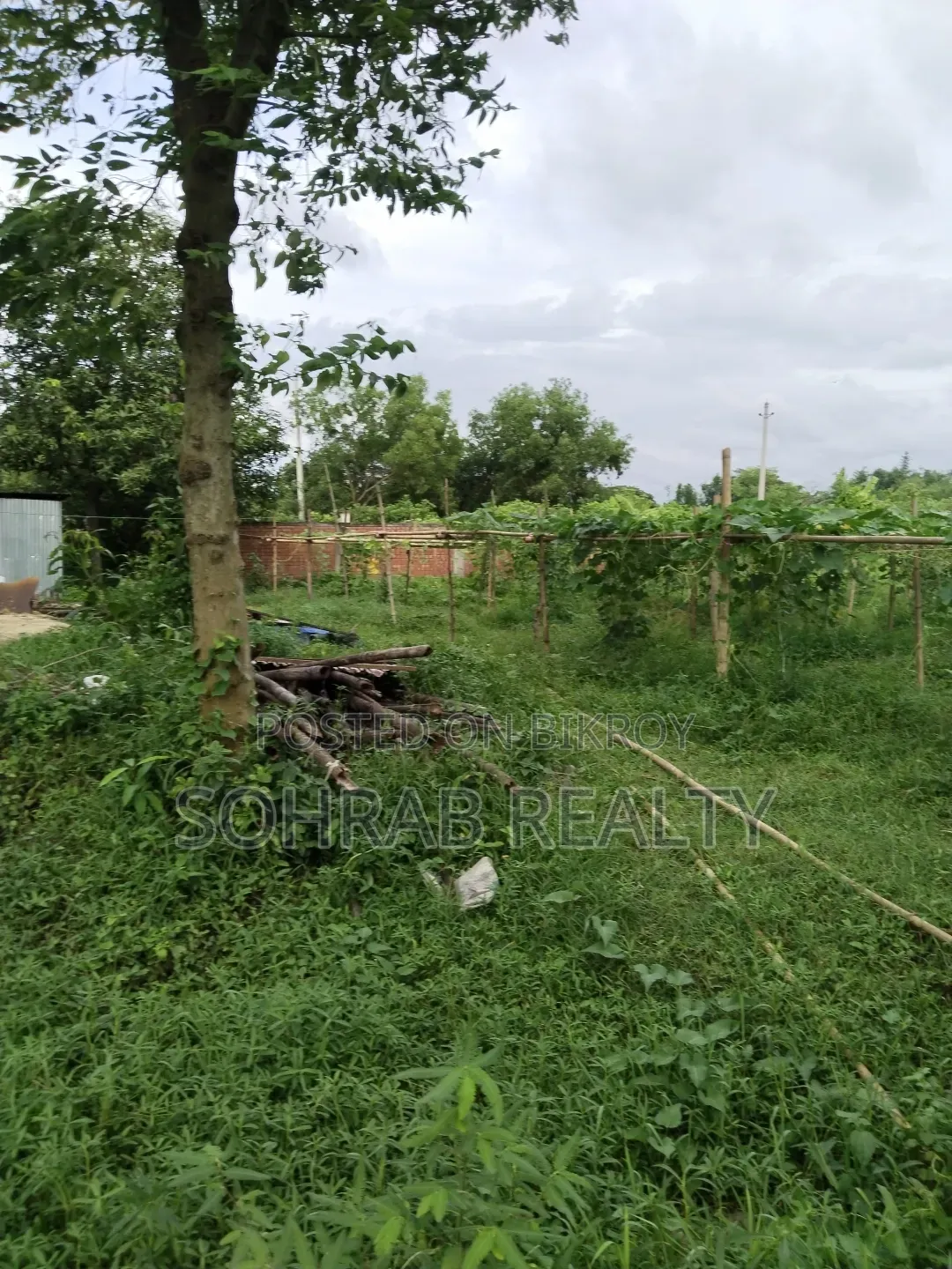 5 Katha Plot Purbachal Sector -20
