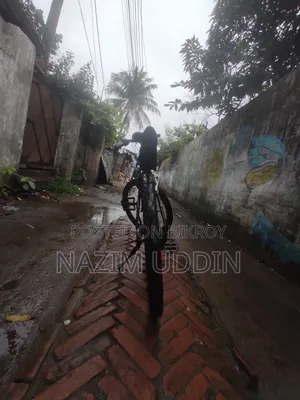 Active Gear Bicycle