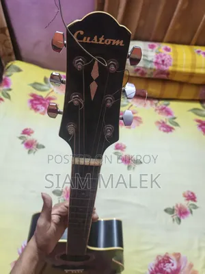 Guitar Professional Custom