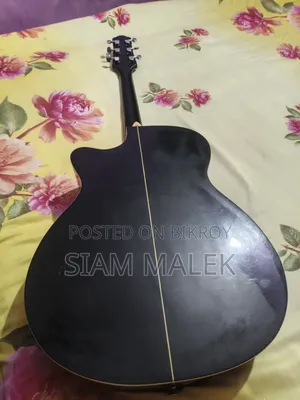 Guitar Professional Custom