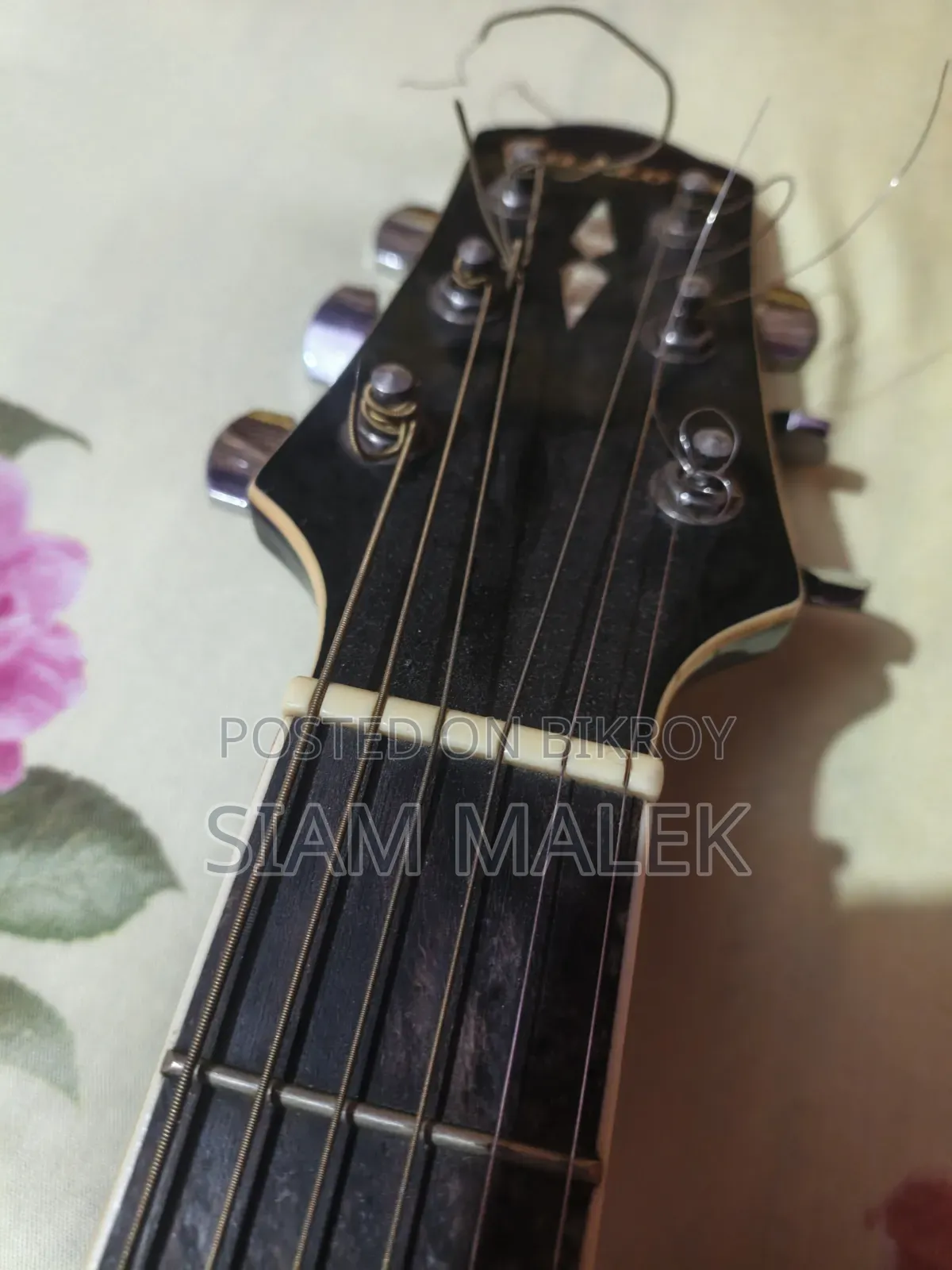 Guitar Professional Custom