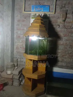অ্যাকোয়ারিয়াম ফুলসেট