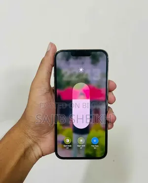 অ্যাপল আইফোন ১৩ প্রো ২৫৬ জিবি সিলভার