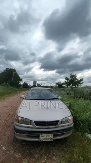 Toyota Corolla 1996 Gray