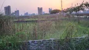এম-ব্লক || উত্তরমুখী || ৫ কাঠা রেডি প্লট || বসুন্ধরা আর/এ
