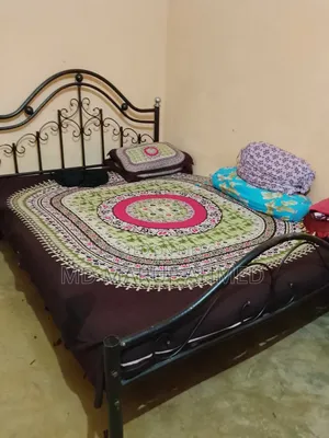 স্টিল পালং