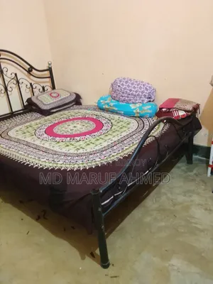 স্টিল পালং